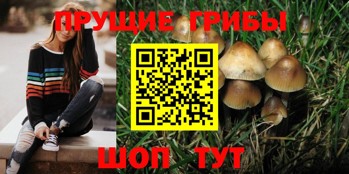 Галлюциногенные грибы прущие грибы  Галлюциногенные грибы ЛСД  где продают наркотики  Вход с VPN  Лянтор 